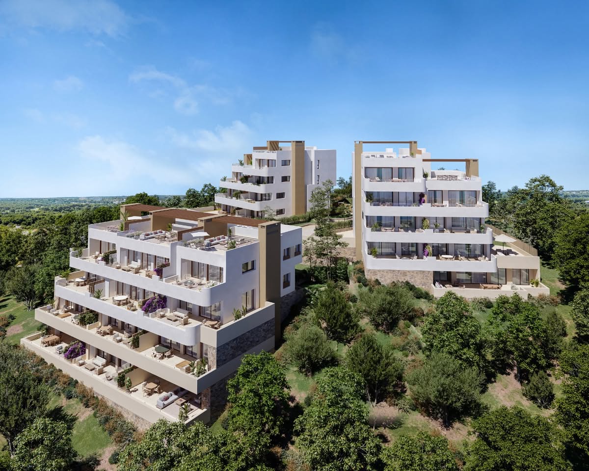 Buganvilla beeld 1