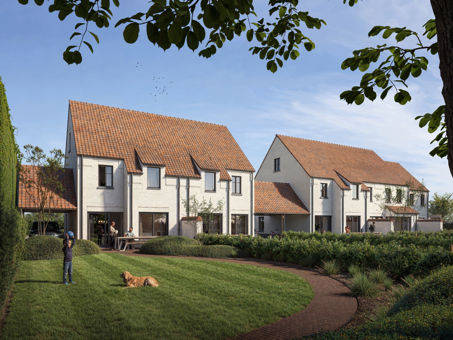 Zicht op de tuinen en achterkant van de woningen