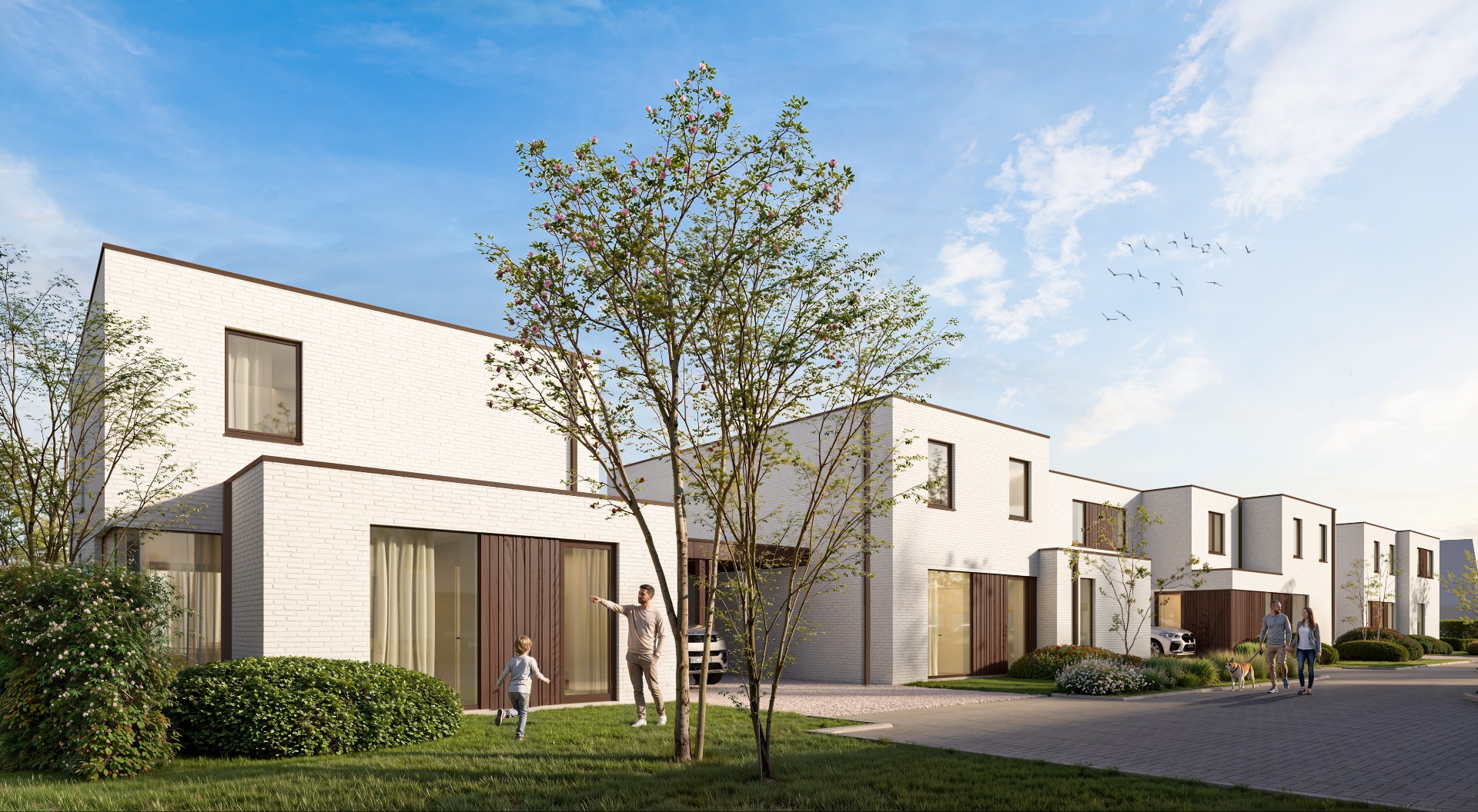 Energiezuinige nieuwbouwwoningen Kolgansstraat — Immo Francois