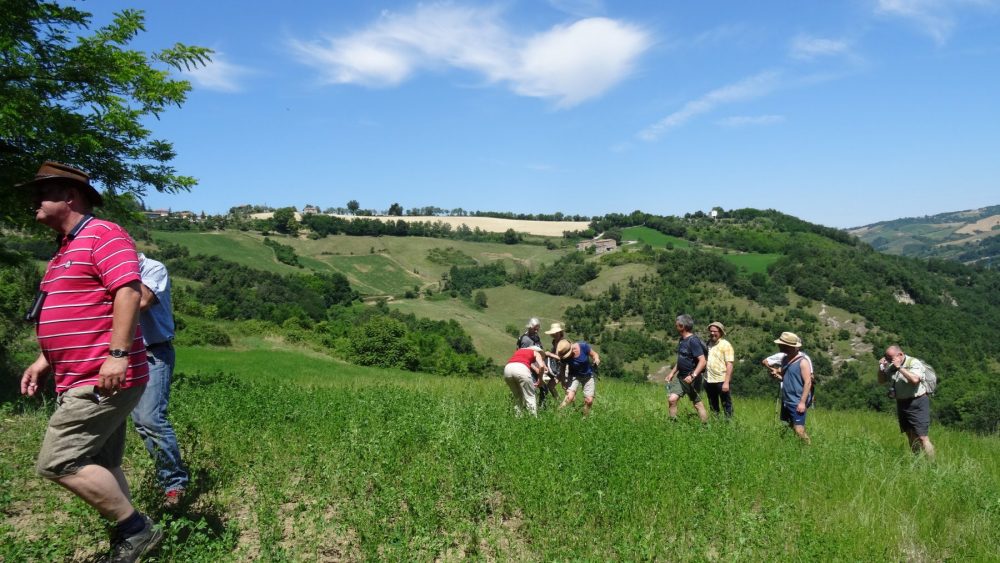 Wandelen door de groene heuvels van Romagna